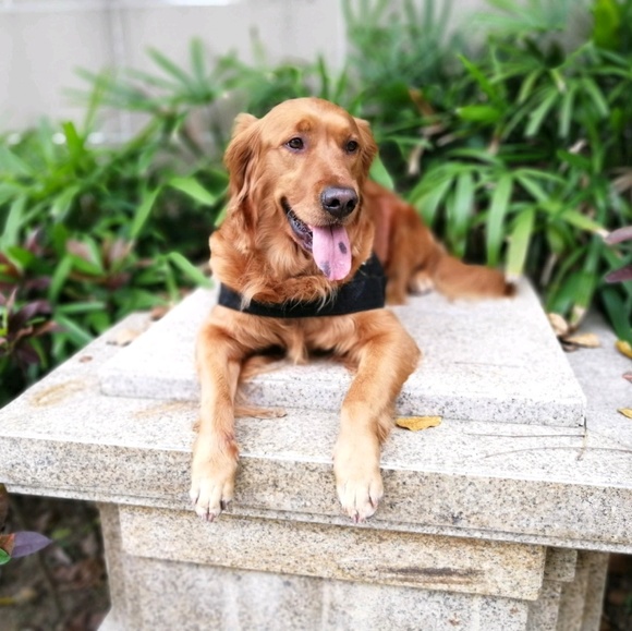 Meet your Posher, Jessica - Picture 1 of 1